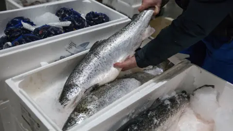 EPA Inspecting a salmon at the Glasgow Fish Market