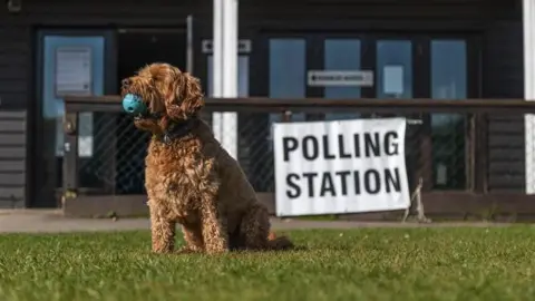 A dog stands in front of a black and white sign reading 'polling station'. 