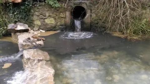 Toby Hull, South East Rivers Trust polluted water in a stream