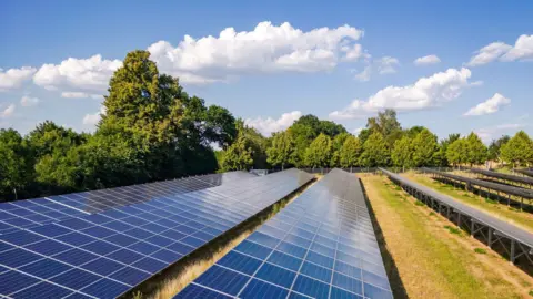 Getty Images A stock image of rows of solar panels in a grassy field surrounded by trees

