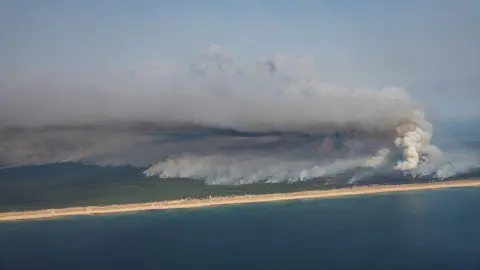 AFP via Getty Images The French wildfires have formed in the Bordeaux area, close to the Atlantic ocean 