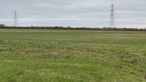 An open green field with pylons in the background