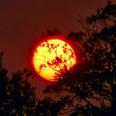 Tammy/ BBC Weather Watchers La luna brillante al atardecer vista en Burton Joyce, Nottinghamshire, el domingo por la noche