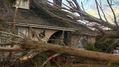 BBC A fallen tree over a house. The tree is covering the front of the house and there is a tree fallen over leaning on the roof of the house. The sky is blue is white clouds. 