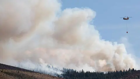 Clouds of smoke rise from a forest, resultant of a wildfire. A helicopter attempts to control the fire with a water bucket.