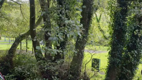 Google Image of a park behind some trees