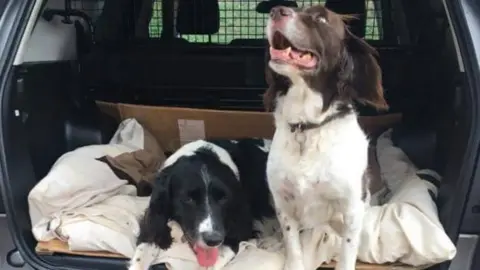 Chris Richmond Chris Richmond's dogs in the boot