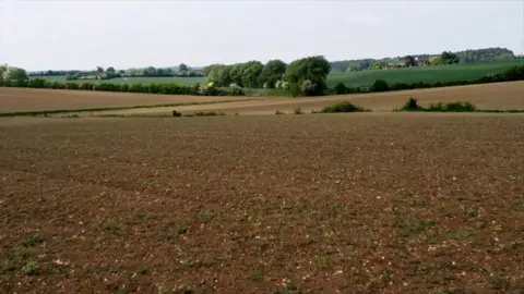 Qays Najim/BBC Empty fields with trees in the background