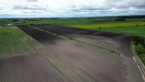 Steve Hubbard/BBC Brown ploughed fields are surrounded by green fields, with one in the foreground being very patchy. It is cloudy.