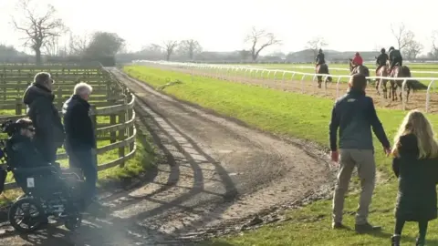 Burrow watching horses