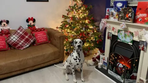 Family Handout/PDSA The Proctor's dalmation Rio