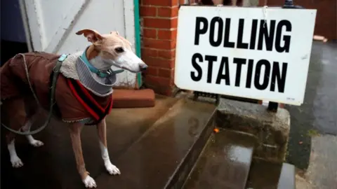 Reuters Dog at a polling station in Brighton