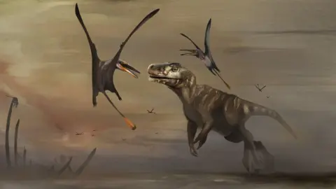 NAtalia Jagielska Artist's impression of the pterosaur when it flew 170 million years ago