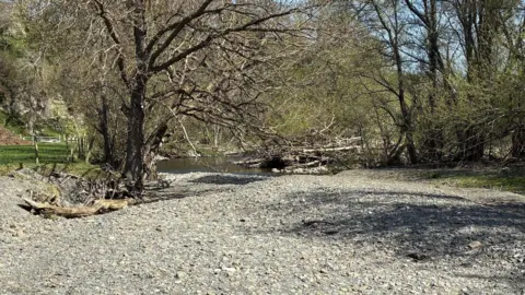 A close up of the dry channel beside the river. There are trees and woodland area beside it. 