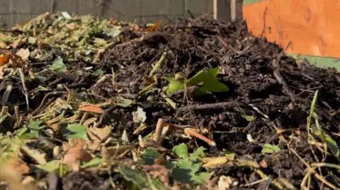 A pile of compost and garden waste is piled up in a container. There are green leaves as well as brown mulch and twigs.
