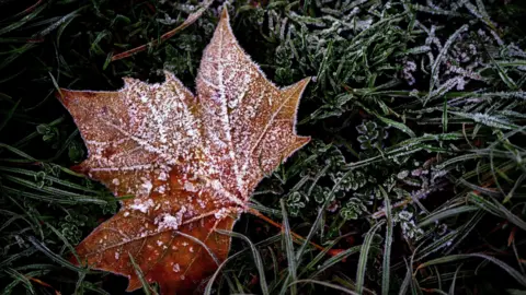 PA Media A brown coloured leaf covered with frost lying on green grass that is also frosty.