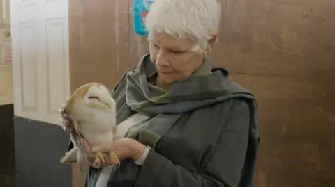 Claire Spelling/Wiltshire Wildlife Hospital Dame Judi holding an owl during the fundraising film