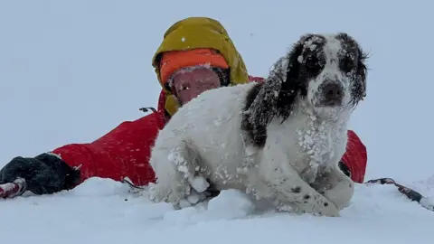 A mountain rescuer lying in deep snow and holding on to the dog, Aggie. The spaniel has a white body and brown patches on its eyes and ears. Aggie has lumps of snow stuck on her fur.