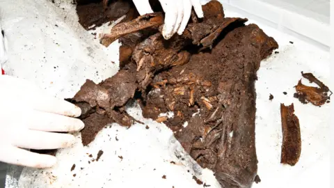 PSNI Person wearing white gloves holding up the ancient remains that are still covered in peat and mud. 