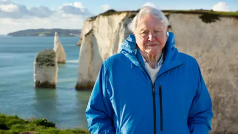 David Attenborough, wearing a bright blue coat, standing in front of cliffs that plunge steeply into a blue ocean on a sunny, cloudy day.