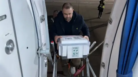 A man walking up the steps of a plane towards the photographer. He is carrying a large box with a label saying live animals.
