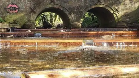 Environment Agency  River Tiffey bridge, showing fish pass