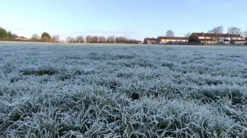 BBC Weather Watchers/Ella Frosty grass