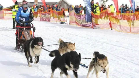 Jagoda Waskowski Matt Hodgson wearing union flag helmet and goggles with four huskies in front of him competing in the snow in a sled dog racing event 