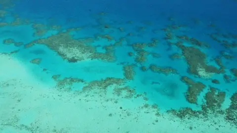 Getty Images An aerial view of the Great Barrier Reef. Deep blue water in the distance and lighter blue in shallower water in the foreground. Coral patterns across the middle.