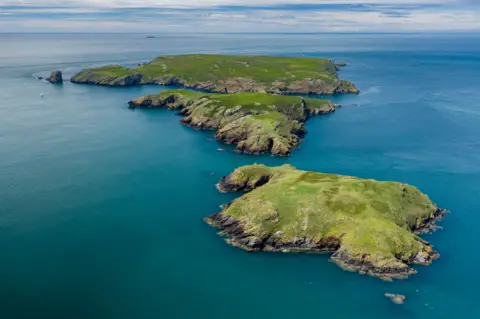 Getty Images Aerial view of Skomer