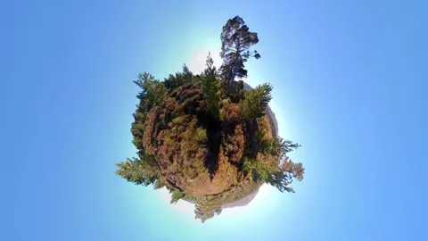 Andrew Macdonald Andrew Macdonald image