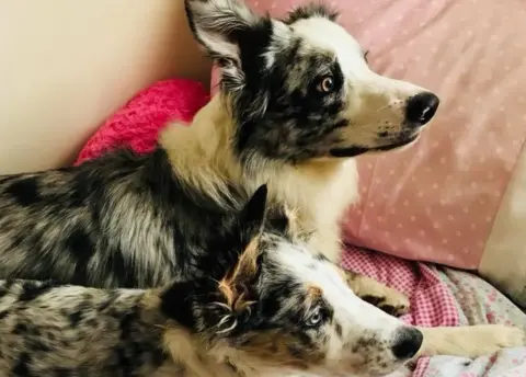 Pita Oates Buddy and Merlyn