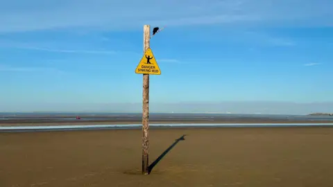 Weather Watchers/Cherry A bird is perched on a sign that reads Danger Sinking Mud. The sign is surrounded by a muddy beach with the sea at the horizon.