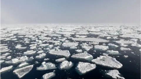 Getty Images Arctic