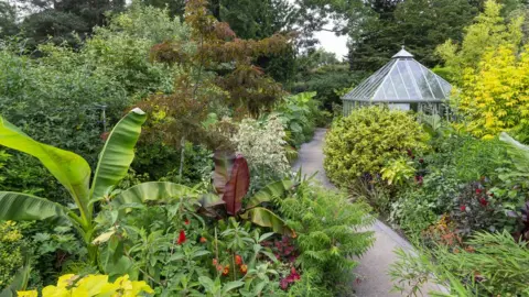 Neil Hepworth Winding path through tropical plants leading to an ornate glass greenhouse