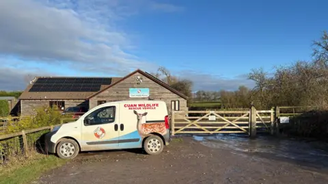 A Cuan Wildlife Rescue branded van with a picture of a deer on the side of it is parked in a car park. There is a wooden gate and a wooden building beyond the gate.