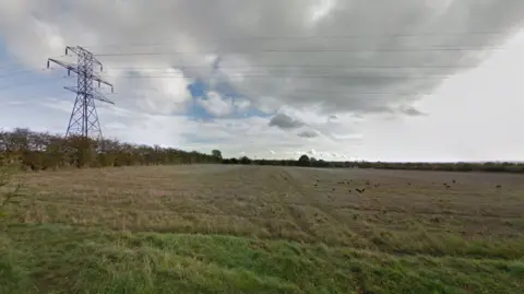 A field with an electricity pylon across the top of the image.
