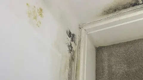 Local Democracy Reporting Service Mould in a flat in Addlestone