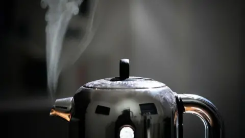 A domestic electric kettle emits steam.