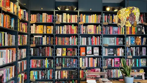 Black shelves are filled with colourful books and a wooden table is placed in front of the shelves with a green plant.