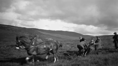 Forestry and Land Scotland Planting in 1920s