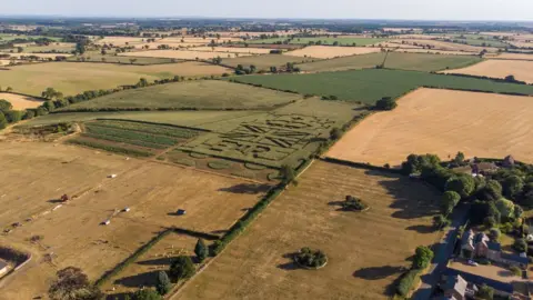Joe Drage Promotions A tribute to Queen Elizabeth II made out of maize in a field in Northamptonshire
