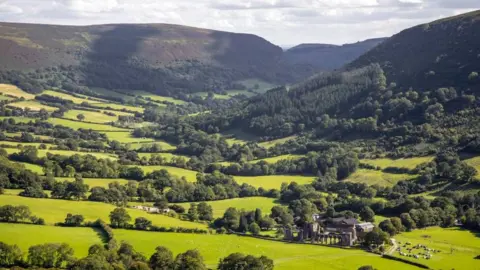 Getty Images A landscape scene of fields and woodland
