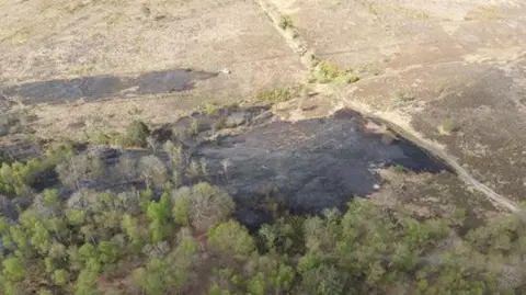 Surrey County Council A large, charred patch of land surrounded by trees on one side and heath on the other, as seen from above on a sunny day.