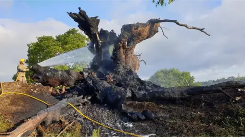 Ledbury Fire Station The destroyed tree
