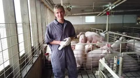 Farmer Mike Boerboom and his pigs