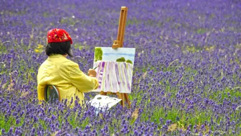Lewis Clarke Mayfield lavender fields, Surrey