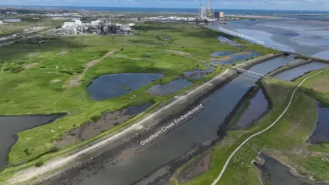 RSPB An aerial view of the Greatham Creek area where the wild orchids currently grow. An estuary runs out to the sea and footpaths can be seen on either side of it. Industrial sites are further inland. Large tidal pools can be seen near the waterway.