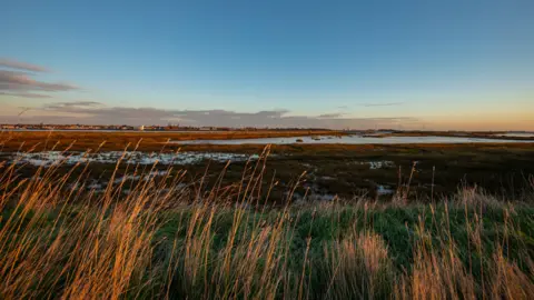 PA Media The sun is setting on Wallasea Island. From behind some long grass the sun is casting an burnt orange glow on the patches of water around the marsh land. 