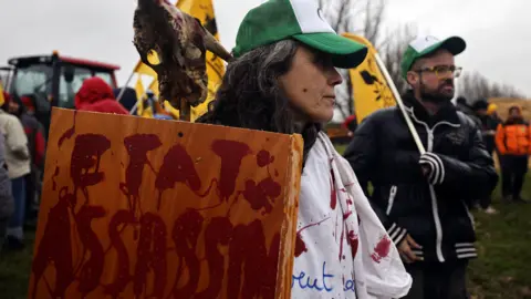 Shutterstock A protester wears a green and white cap and a humper splattered with red paint meant to represent blood. She holds a placard 'state assassin' as Farmers protest against the slaughter of entire herds amid rising concern around lumpy skin disease outbreaks across the country, in Rodez, France.